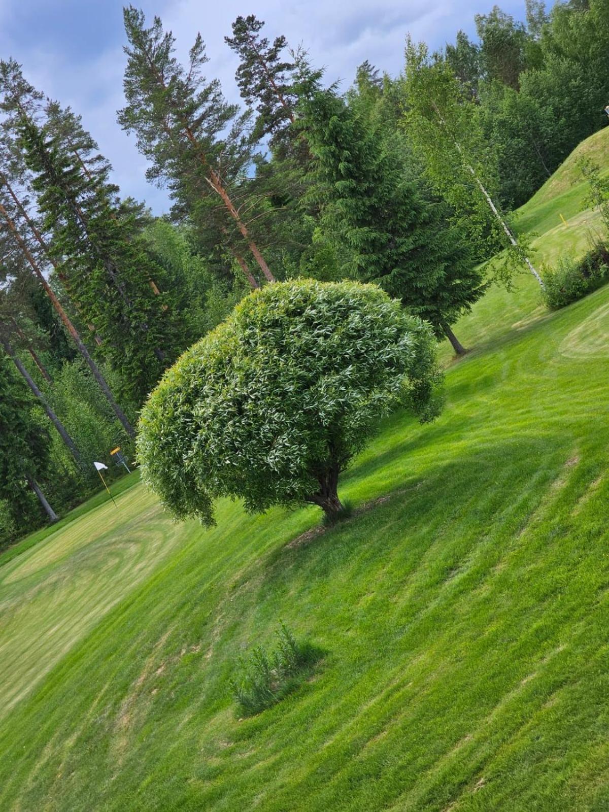 ホテル Kesaeaitat Ähtäri エクステリア 写真